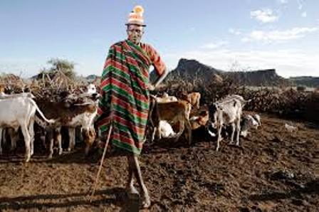 Karamojong Surviving in a difficult environment