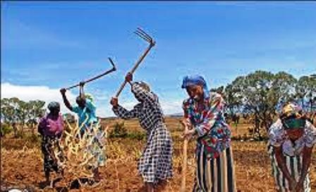 SPORTS AMONG THE KIKUYU PEOPLE IN KENYA