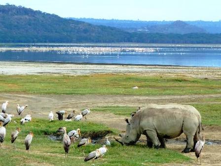 Lake Nakuru