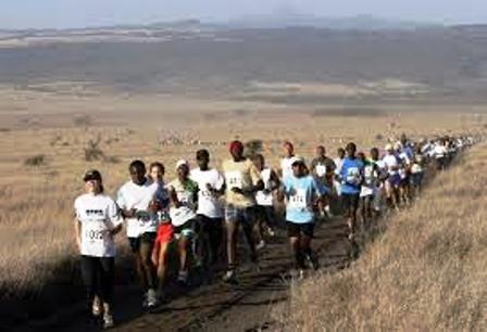 no physical barriers separating the runners from the wildlife, making Lewa a unique experience
