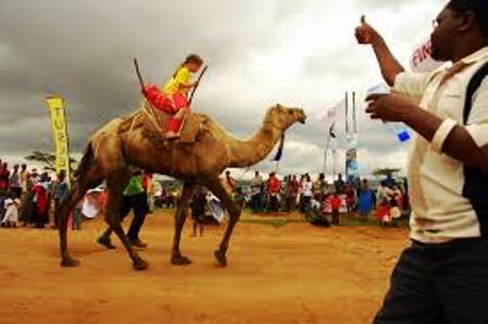 Maralal Camel Derby, the only one of its kind in Kenya