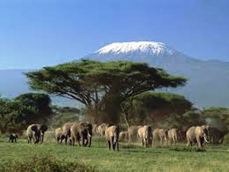 Mount Kenya National Park