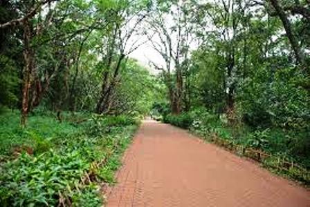 Nairobi Arboretum