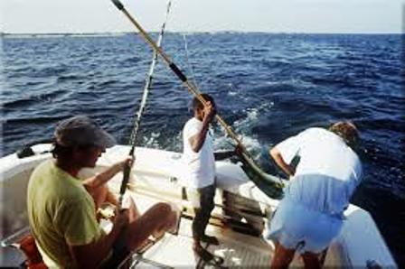 The Safari to Ndere Island