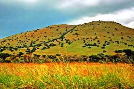 The Vegetation in Ruma National Park