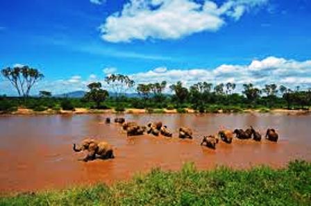 Ewaso Nyiro River,in Samburu National Park