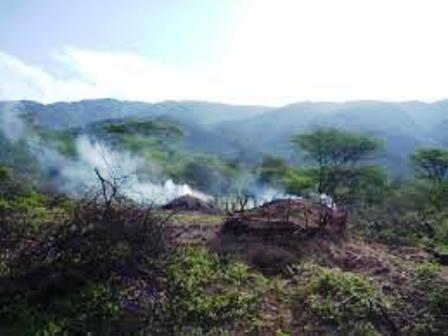charcoal burning in terikland in kenya