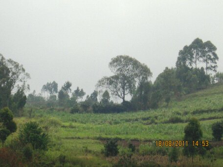 Baraka Agricultural College Kenya