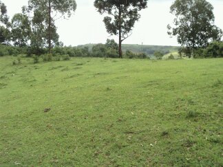 Carlile College Kenya