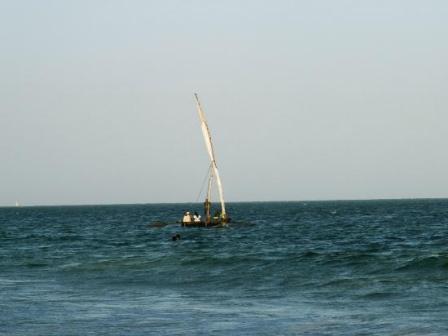 snokkeling at  Zanzibar