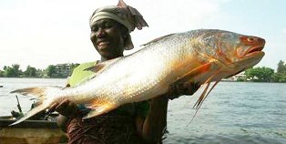 Uganda Fish Sector Business Opportunities