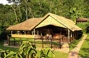 Gorilla Forest Camp in Gorillas Bwindi Impenetrable Forest National Park