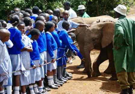 school children visiting David Sheldrick Elephant Orphanage