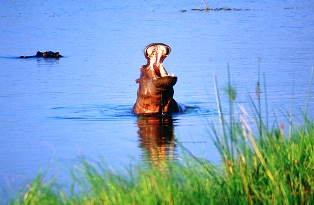 Katavi National Park in Western Tanzania