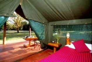 Siana Springs Tented Camp in masai mara game reserve