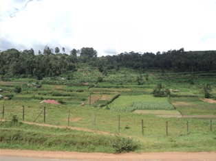 Western Highlands in Kenya