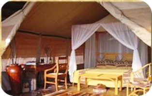 Kikoti Tented Camp in Tarangire Tanzania