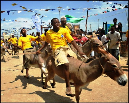 There are no vehicles on Lamu