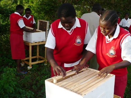 Mbaya Karichu Institute Kenya