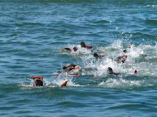 swimming at paraa lodge