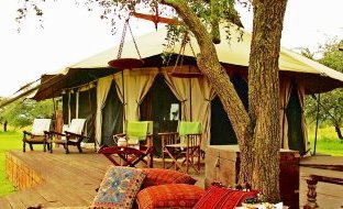 Sabora Tented Camp in Serenget Sabora Tanzania