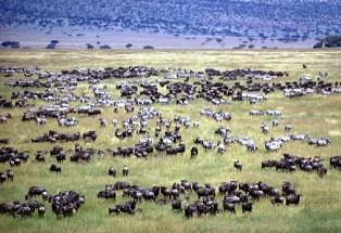 Serengeti National Park