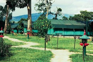 Siana Springs Tented Camp in masai mara game reserve
