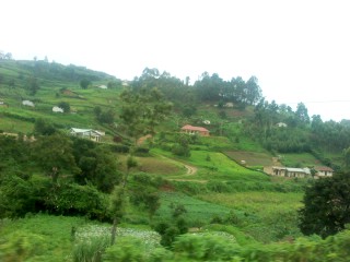 Sokoine University of Agriculture Tanzania