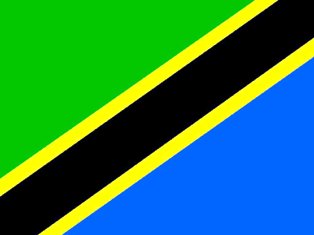 The meaning of Tanzania Flag