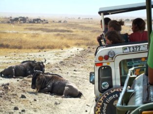 Tanzania Tourism Sector Investment Opportunities
