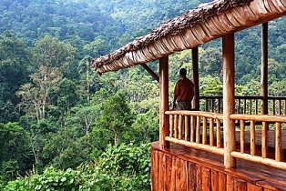 The Engagi Lodge for Gorilla Tracking in Bwindi Forest National Park of Uganda
