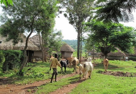 Valley Business School Kenya