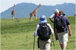 Walking Safaris in Tanzania