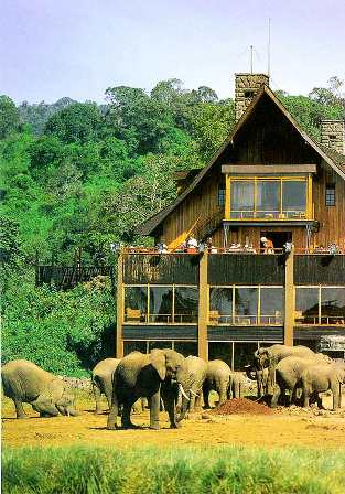 Aberdare National Park in Kenya