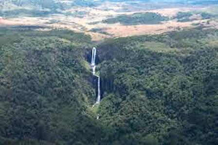 Aberdare National Park in Kenya