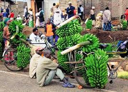 FOOD OF NYANKOLE PEOPLE IN OF UGANDA