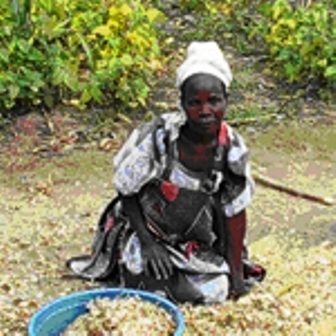 Marriage traditions of the Bagwere.