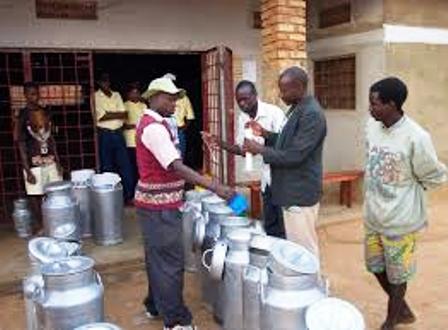 FOOD OF THE TUTSI PEOPLE