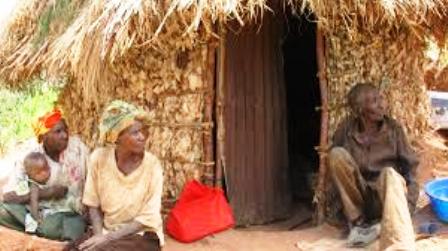 Traditional Economy of Batwa ,bambuti