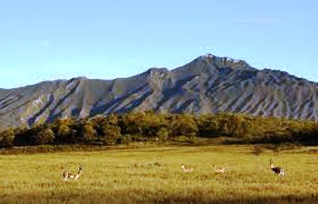 wildlife in hells gate national park kenya