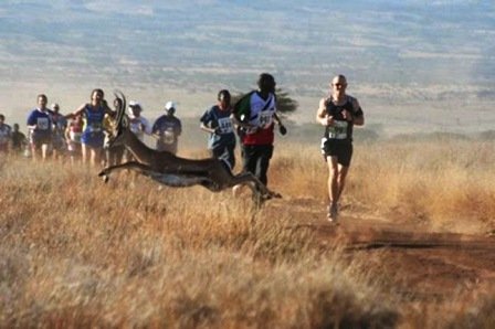 Lewa Marathon Festival in kenya