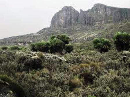 Mt Elgon the craddle land of the gusii people in kenya