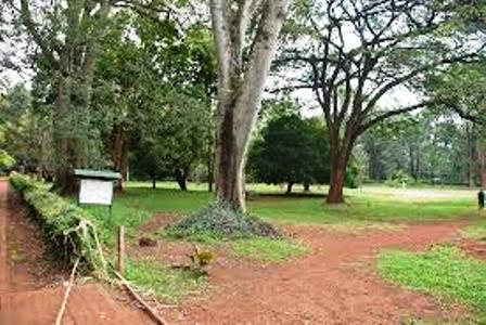 Nairobi Arboretum resting places