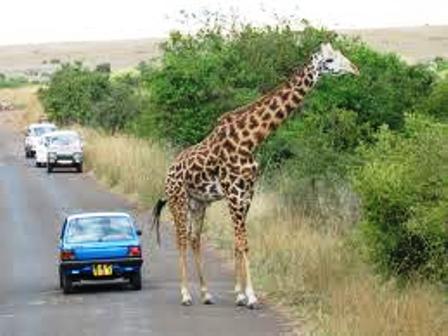 Nairobi National Park