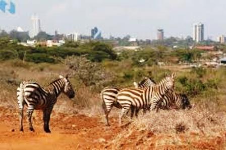 a variety of animals and birds close to a capital city.