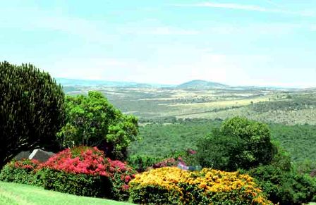 the land scape of nyeri in kenya