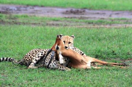 Western Kenya destinations