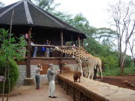 the to girrafe center in nairobi