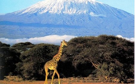 Climatic conditions of Amboseli National Park