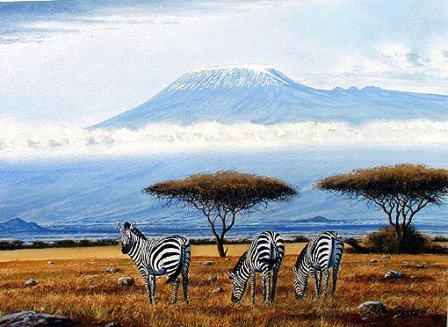 Zebras of Amboseli National Park in Kenya